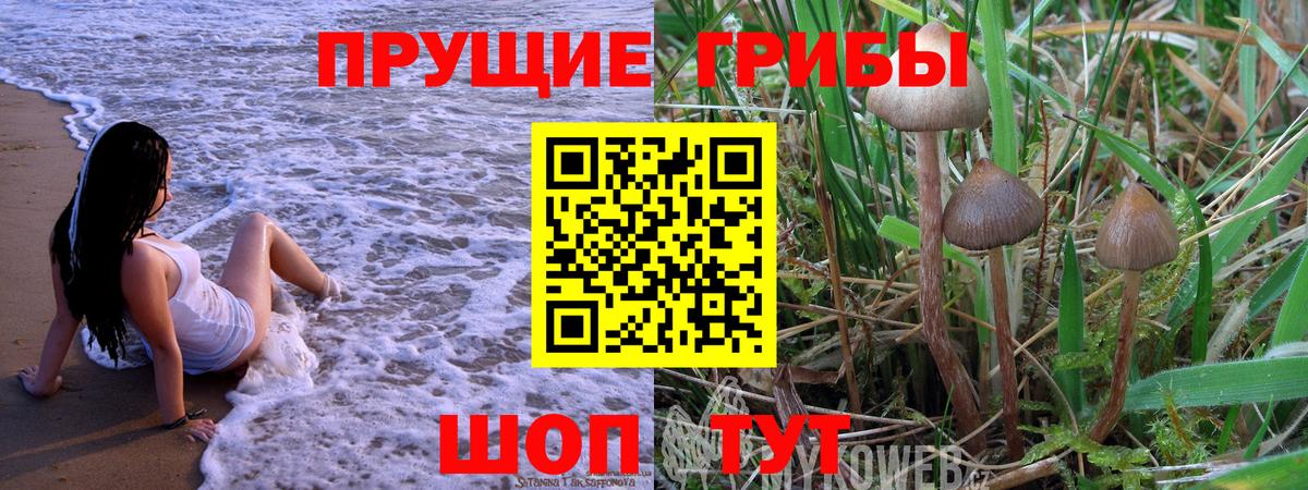 Галлюциногенные грибы Magic Shrooms Серов
