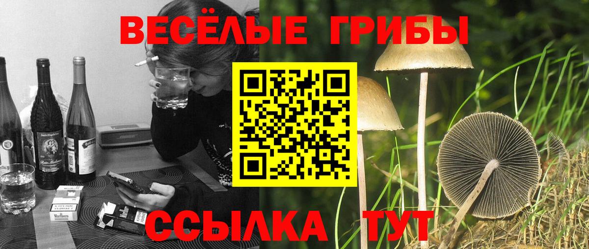 Галлюциногенные грибы прущие грибы  Вход с VPN  Серов 